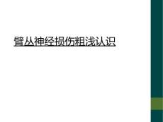 臂丛神经损伤粗浅认识
