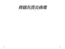 脊髓灰质炎病毒