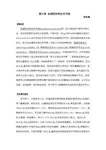 血清阴性脊柱关节病