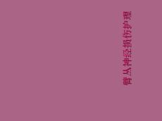 臂丛神经损伤护理ppt课件