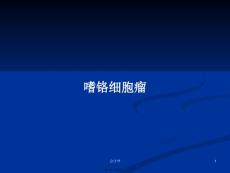 嗜铬细胞瘤学习教案