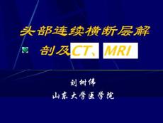 基础医学断层解剖学PPT课件 02 头部连续横断层解剖及CT、MRI