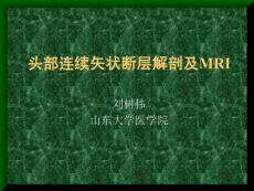 基础医学断层解剖学PPT课件 03 头部连续矢状断层解剖及MRI