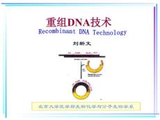 北大基础医学生物化学PPT课件 重组DNA技术