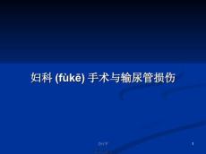 妇科手术与输尿管损伤学习教案