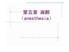 麻醉全身麻醉ppt课件
