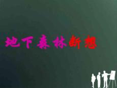 九年级语文下册 《地下森林断想》 课件 人教新课标版