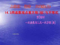 人教版數學八上14.3《用函數觀點看方程（組）與不等式》（第3課時）ppt課件
