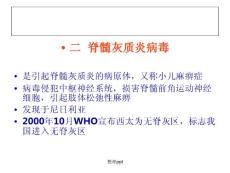 脊髓灰质炎病毒