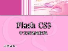 2FLASH課件
