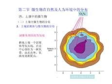 环境工程微生物学第八章第二部分