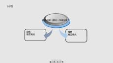 慢性肾盂肾炎