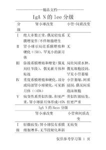 iga肾病分级