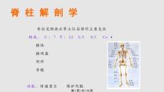 脊柱四肢学习