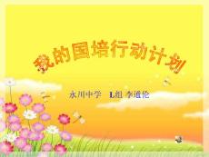 我的國(guó)培行動(dòng)計(jì)劃