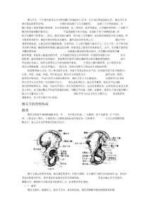 髋关节结构