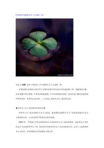 [考研政治]选择社会主义道路（四）