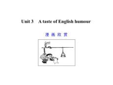 高考英语专项复习课件Unit 3　A taste of English humour