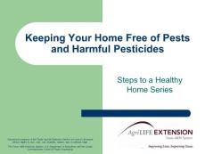 Keeping Your Home Free of Pests and Harmful Pesticides