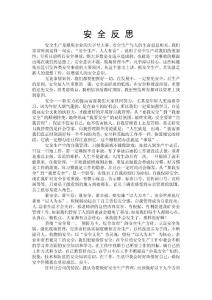 安全反思
