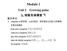 译林牛津版高考英语复习PPT课件Module 1 Unit 2　Growing pains
