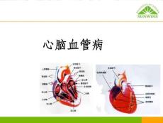 《心脑血管病》