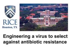 抗生素耐药Engineering a virus to select against antibiotic resistance