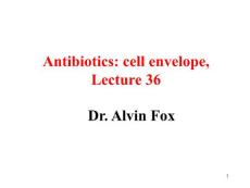 抗生素与细胞膜（英文PPT）Antibiotics and cell envelope