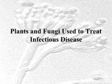 传染性疾病的抗菌治疗（英文PPT）Plants and Fungi Used to Treat Infectious Disease