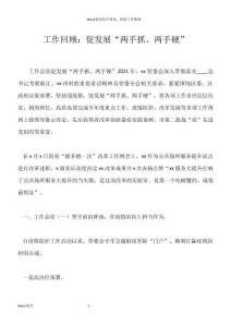 工作回顾：促发展“两手抓、两手硬”