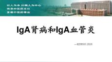 IgA肾病和IgA血管炎