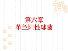 微生物学检验课件--6.第六章_球菌