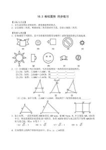 10.3 相似图形 同步练习