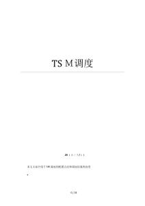 tsm調度實例分析