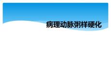 病理动脉粥样硬化