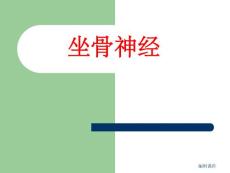 坐骨神经解剖