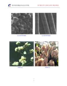 紡織纖維縱橫截面