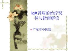 iga肾病指南解读