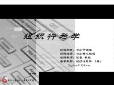 211 重點(diǎn)大學(xué) MBA 組織行為學(xué) 課件 經(jīng)典 核心課程 7