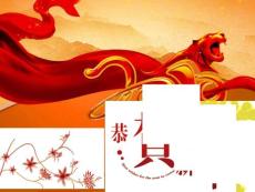 祈福医院信息化规划(2010)