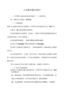 大动脉炎临床途径