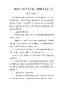 母猪吃生鸡蛋的危害，母猪尿黄是什么原因导致的