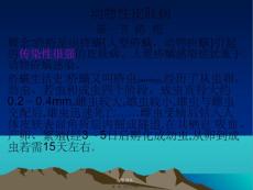 202x年医学专题—动物性皮肤病