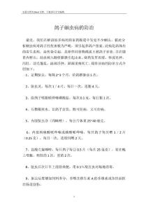 鸽子蛔虫病的防治