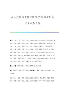非结石性尿路梗阻应用CT尿路造影的临床诊断研究