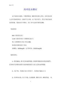 肉鸡低血糖症