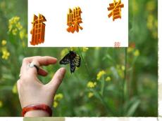 粤教版选修《中国现代散文选读》《捕蝶者》课件