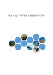 输尿管镜手术致输尿管损伤处理及预防