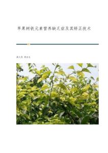 苹果树铁元素营养缺乏症及其矫正技术