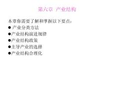 地質大學遠程班-武漢  產業經濟學電子教案4